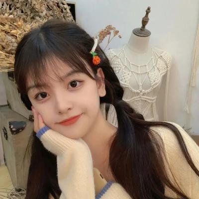 汽车女窃贼